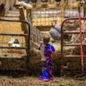 Meet your Posher, Jackie